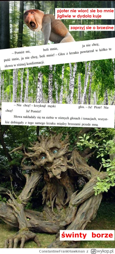 ConstantineFrankHawkman - #konkursnanajbardziejgownianymemznosaczem
