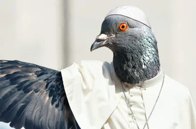 schnippenschnappen - @defaultrandom: Columba Papa