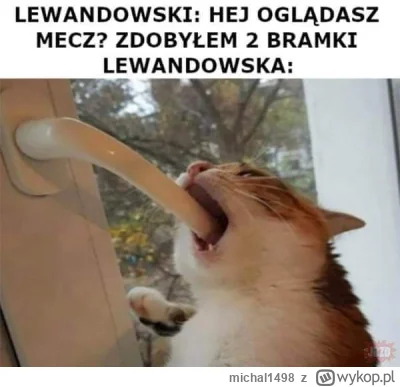 michal1498 - #lewandowski #lewandowska #heheszki