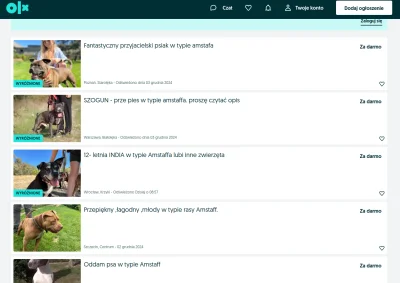 readme - Brzmi to strasznie, na zdjęciu są słodkie pieski, ale prawda jest taka, że p...