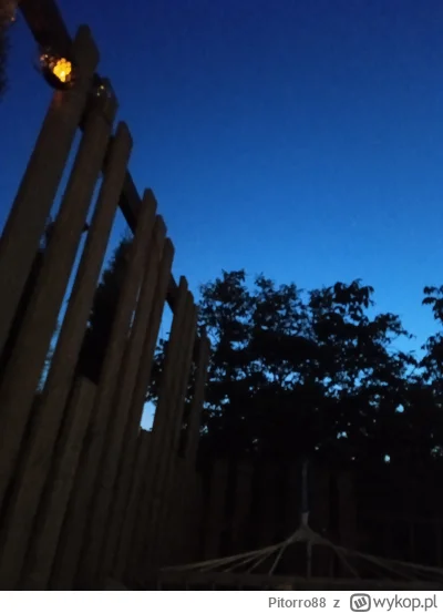 Pitorro88 - Hamak i kawałek ogródka w taki wieczór to złoto