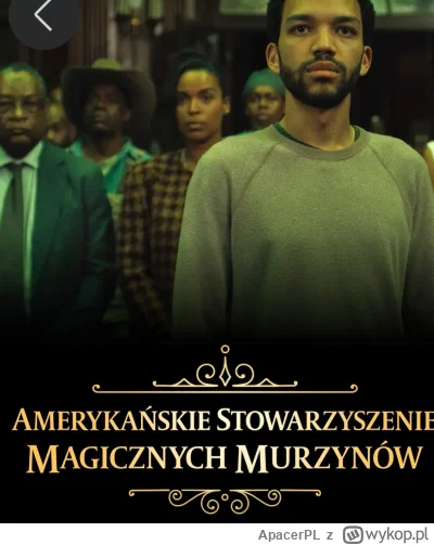 ApacerPL - Nie od dziś wiadomo, że Polki lecą na czarodziejów ( ͡º ͜ʖ͡º)
#polka #blac...