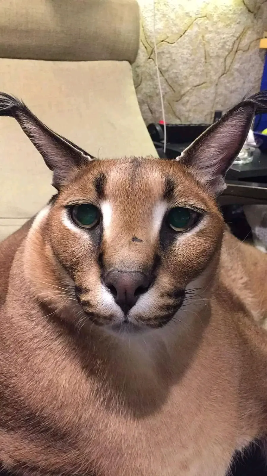 ada_lovelace - dziś jest czwartek