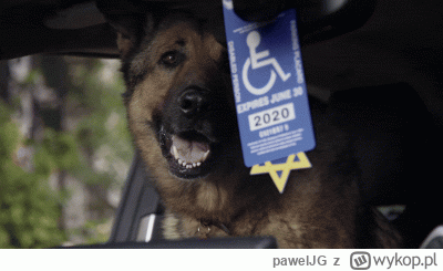 pawelJG - #heheszki #pdk