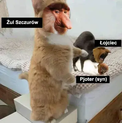 ada_lovelace - #konkursnanajbardziejgownianymemznosaczem