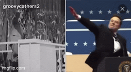 Aldona_Lipska - @omicronns: tymczasem Elon