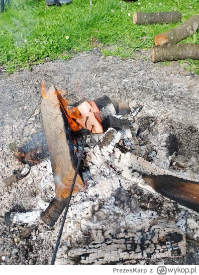 PrezesKarp - Świnia z ognia to jest to!!!
#ognisko #kielbasa #boczek 
W następnej kol...