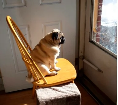 Soothsayer - zamówiłem 40 sztuk brałni dałni i czekam na kuriera