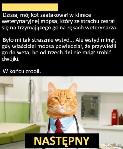 luxkms78 - #drcat #cat #kot #mops #zesraniesie