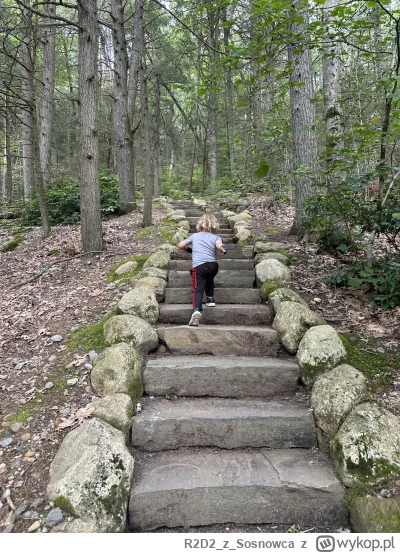 R2D2zSosnowca - Dawno nie było #r2d2zwiedza no to teraz będzie częściej ʕ•ᴥ•ʔ #natura...