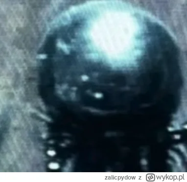 zalicpydow - @daniello87:  i gdzei tu glowa