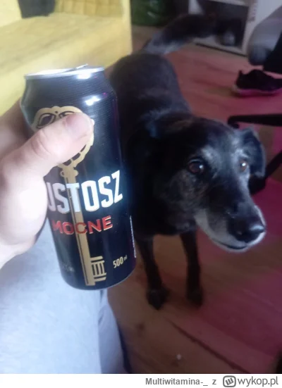 Multiwitamina-_ - Coście skurkowancy uczynili z ta aplikacja?
Psiecko do oceny
#zales...