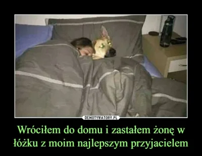 jednorazowka - @Zyciowyloozer: