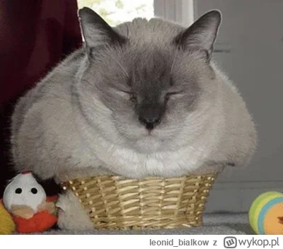 leonid_bialkow - @wfyokyga: cze dla ciebie