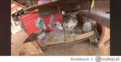 Knoblauch - #raportzpanstwasrodka Co by nie mówić to kartony po Cambodii to główny ma...