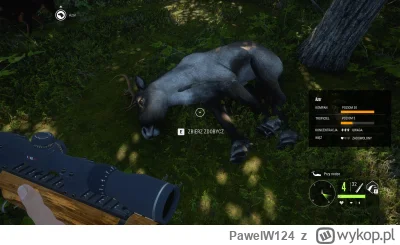 PawelW124 - #przegryw

Chłop upolował renifera.
Ale źle trafił i uciekał kilka kilome...