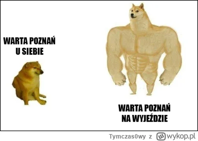 Tymczas0wy - ależ bez nich było by nudno
#mecz #ekstraklasa