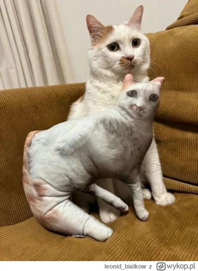 leonid_bialkow - CZARNE WIDMO ROZPALA MIECZ