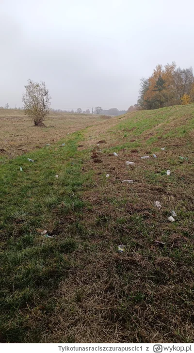 Tylkotunasraciszczurapuscic1 - Piękno natury #przegryw  #przegrywpo30tce  #spierdotri...