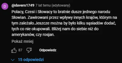 Andrzej_Buzdygan - pov: wchodzisz na jakikolwiek niepolski filmik na yt o Polakach i ...