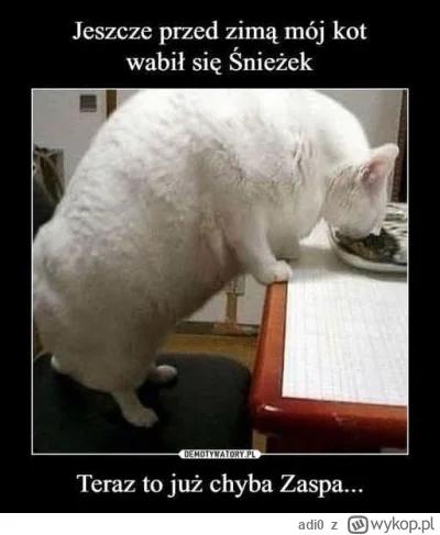 adi0 - #heheszki #humorobrazkowy #koty