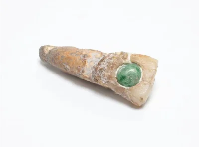 Loskamilos1 - Ząb z jadeitem należący dawniej do jednego z członków społeczności Majó...