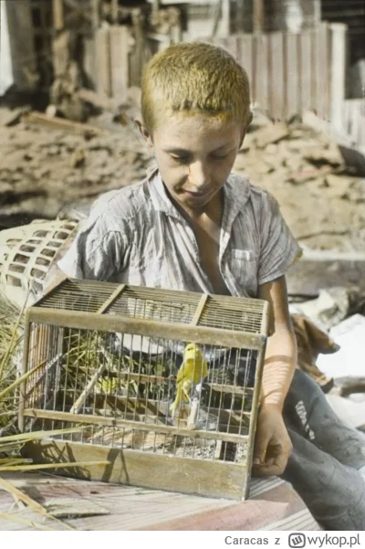 Caracas - Chłopiec z kanarkiem  Warszawa 1939