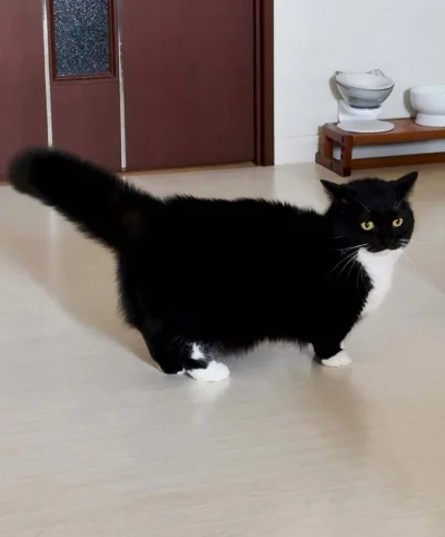 RicoElectrico - Gdy chcesz przyjąć onieśmielającą pozę, a wychodzisz tylko jeszcze ba...