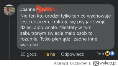 Aldehyd_Glutarowy - Psy to największy dar od Boga jaki może przyjąć człowiek #psiarze...