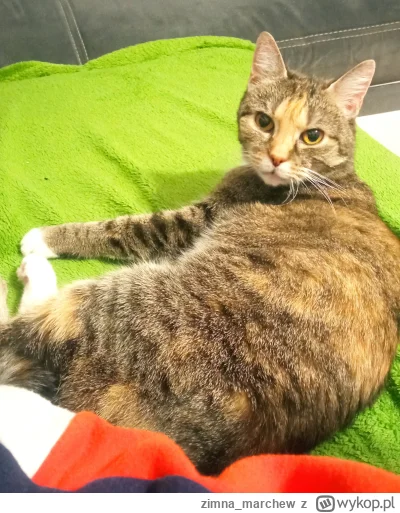 zimna_marchew - @Massiv wygląda znajomo