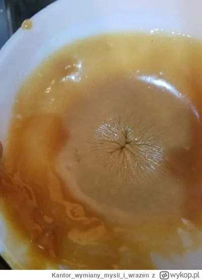 Kantorwymianymysliiwrazen - @Zabojcza_Rozowa: mozna też z budyniu.(⌐ ͡■ ͜ʖ ͡■)