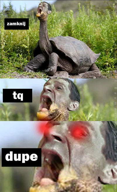 elektryczny_mariusz - @BombaskaTelewizjaBoza: no i można było spotkać tam żółwie ale ...