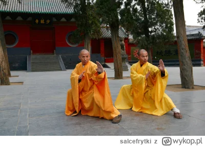 salcefrytki - To była walka kwalifikacyjna o miejsce w llasztorze Shaolin