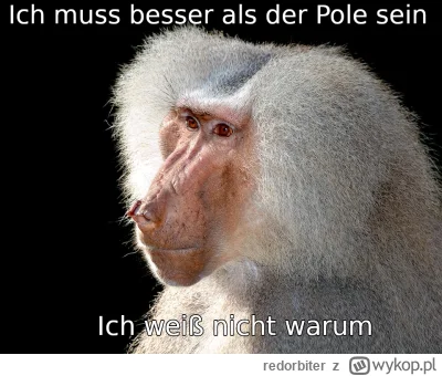 redorbiter - #konkursnanajbardziejgownianymemznosaczem