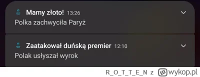 ROTTE_N - #heheszki #paryz2024