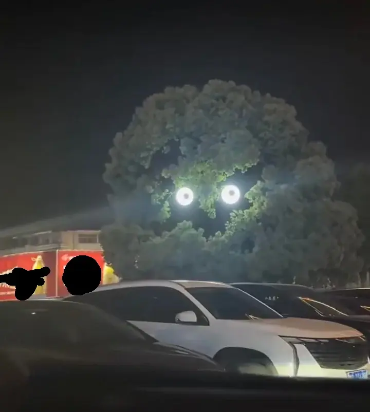 wfyokyga - Boję się tego