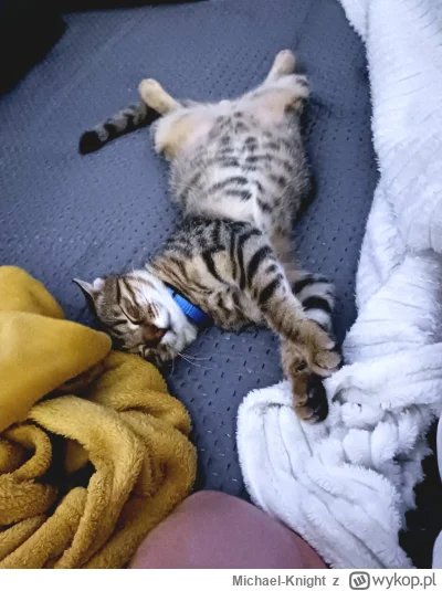 Michael-Knight - O dziwo Kefirek dobrze ogarnał sylwestra xD