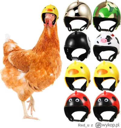 Redu - @krystianops3: pamiętam że jakiś wykopek zamawiał sobie kaski dla swoich kurcz...
