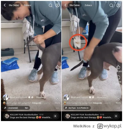 WielkiNos - @EditorTM wystarczy spojrzeć na ten papier żeby poczuć obrzydzenie na sam...