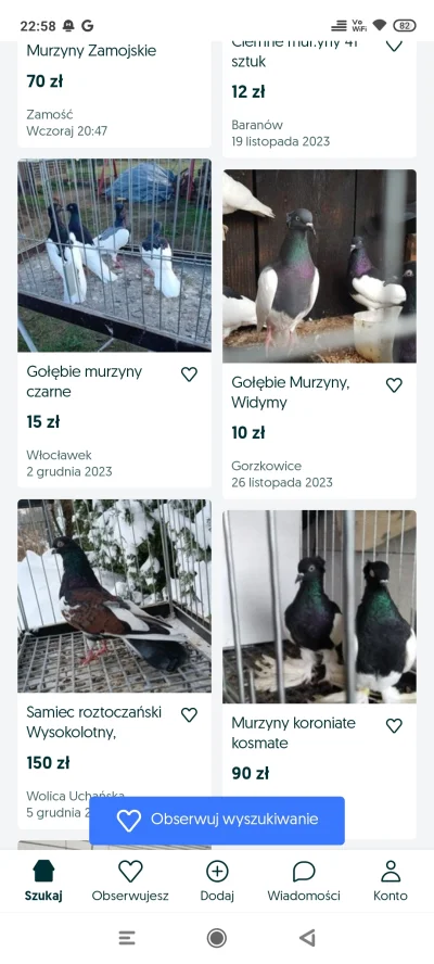 MiniKierownik - @Szrupka mało osób wie że jest kilka ras gołębi które nazywają się "m...