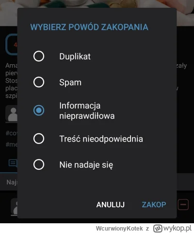 WcurwionyKotek - Mireczki, odkryłem tajemnicę sukcesu #wykop20. Sławnym programistą w...