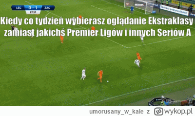 umorusanywkale - #mecz #ekstraklasa #pierwszaligastylzycia no i #dolnoslaskitygrys
 p...