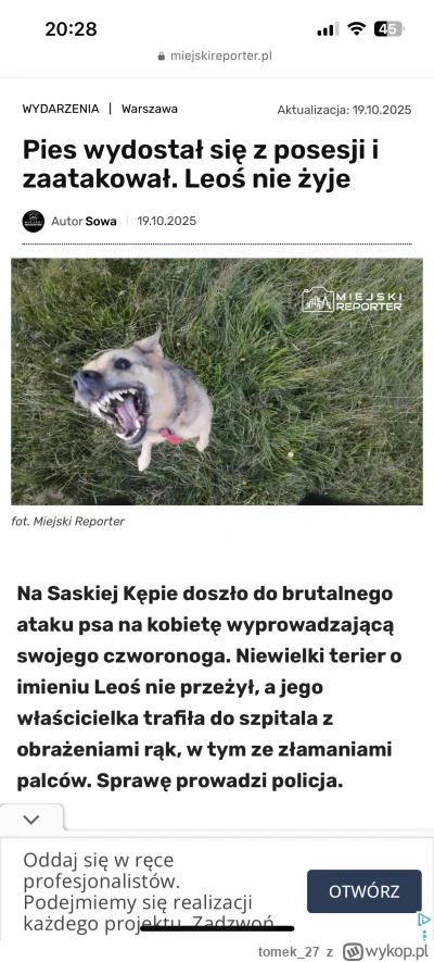 tomek_27 - No cusz

#psy #psiarze