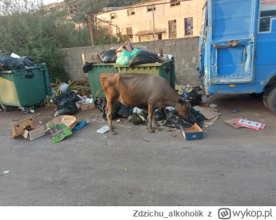 Zdzichualkoholik - @iforgotmypass: Albania piekny kraj xD