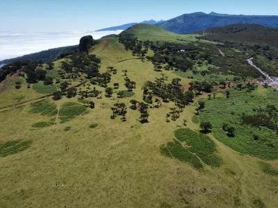 salvador5000 - @PorkaTurbo byłem w tym roku i to dwa razy dzień po dniu. W pierwszy k...