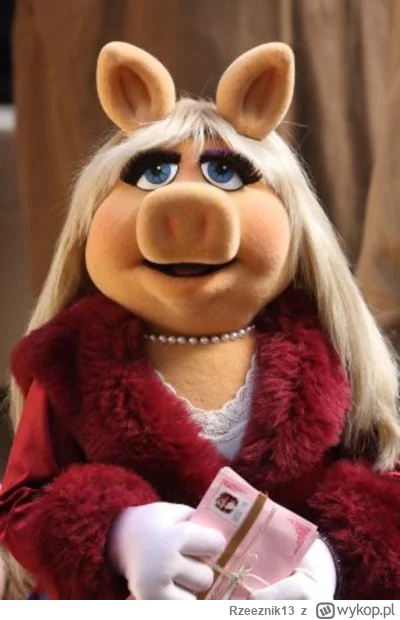 Rzeeznik13 - #eurowizja