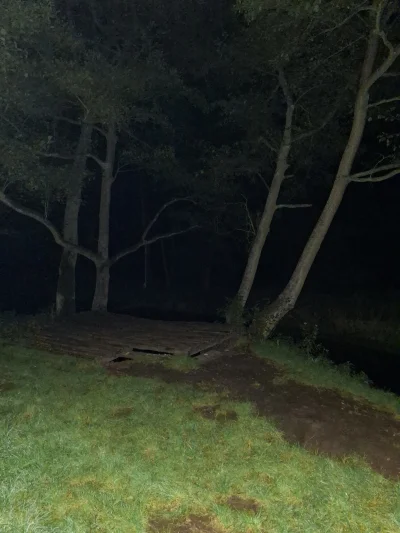 Gontyn- - #przegryw #spierdotrip