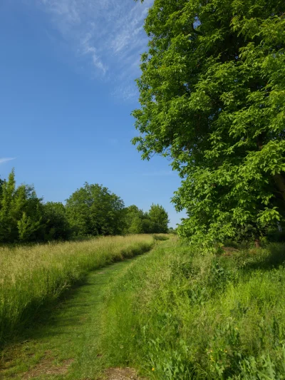 remlezar - #przegryw

Huop też się wybrał na #spierdotrip, ale pogoda nieludzka, chyb...