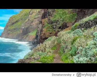 D.....y - @szymon2304: tobie już podziękujemy.