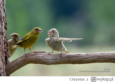 Chrystus - @Mandon: A ten gdzie?